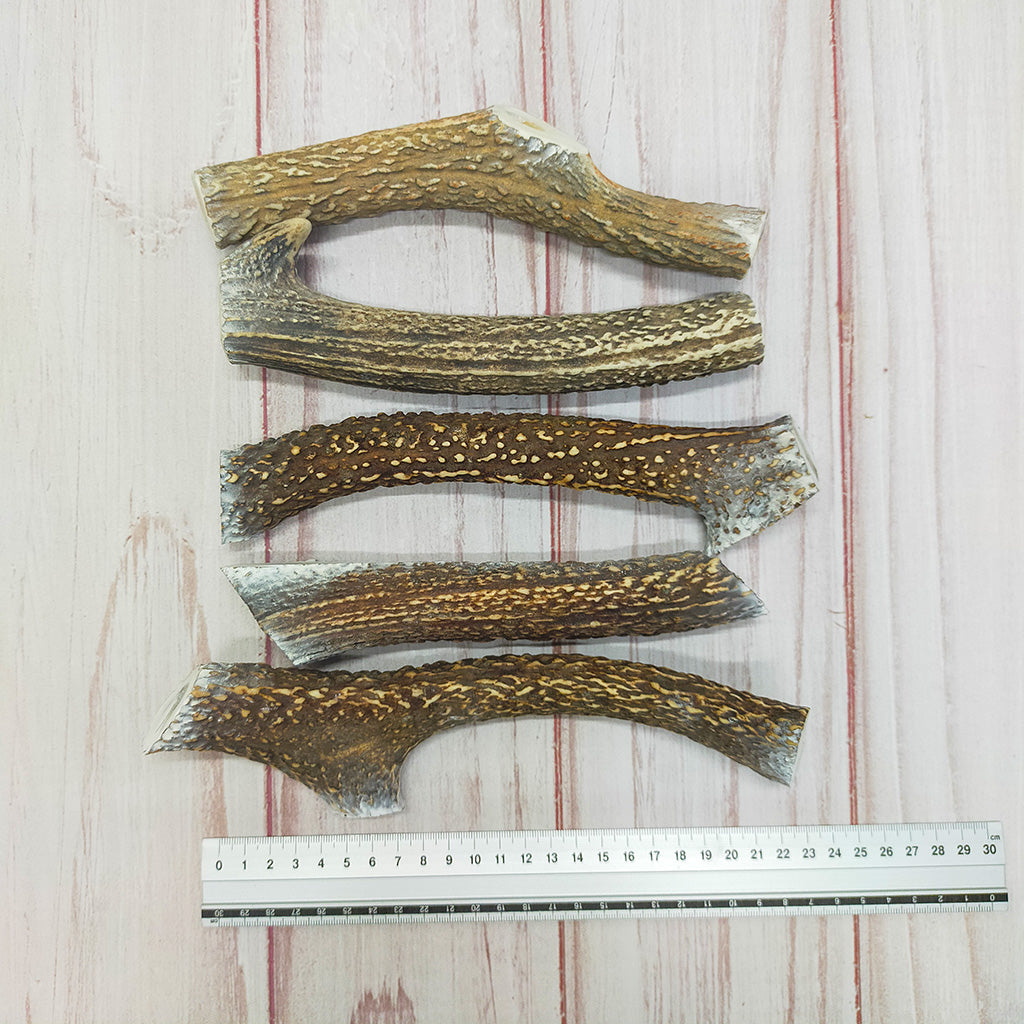 【お徳用】シカの角:大型犬用 x 3本セット【送料込】