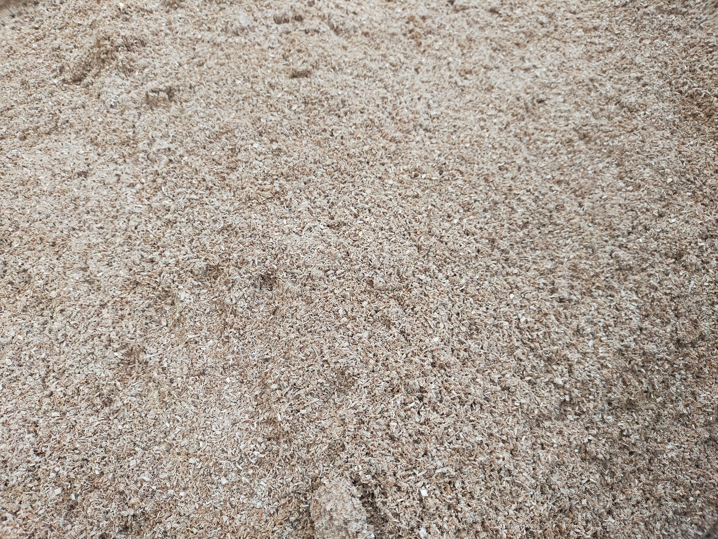 生オガクズ・クヌギ材 微粒子 50L