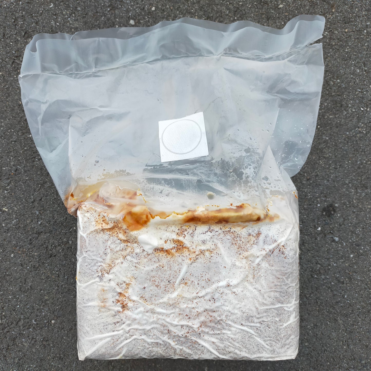 【半額!】レイシ菌糸ブロック:クヌギ100%・微粒子