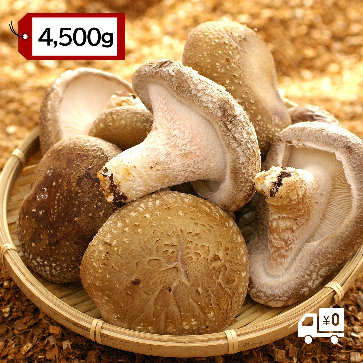 【有機】中身美人の新鮮しいたけ ~アウトレット~ 4,500g【送料込】