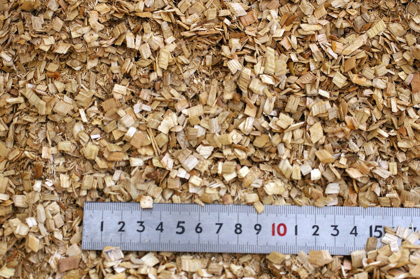 生オガクズ・シイ材 粗粒子 50L