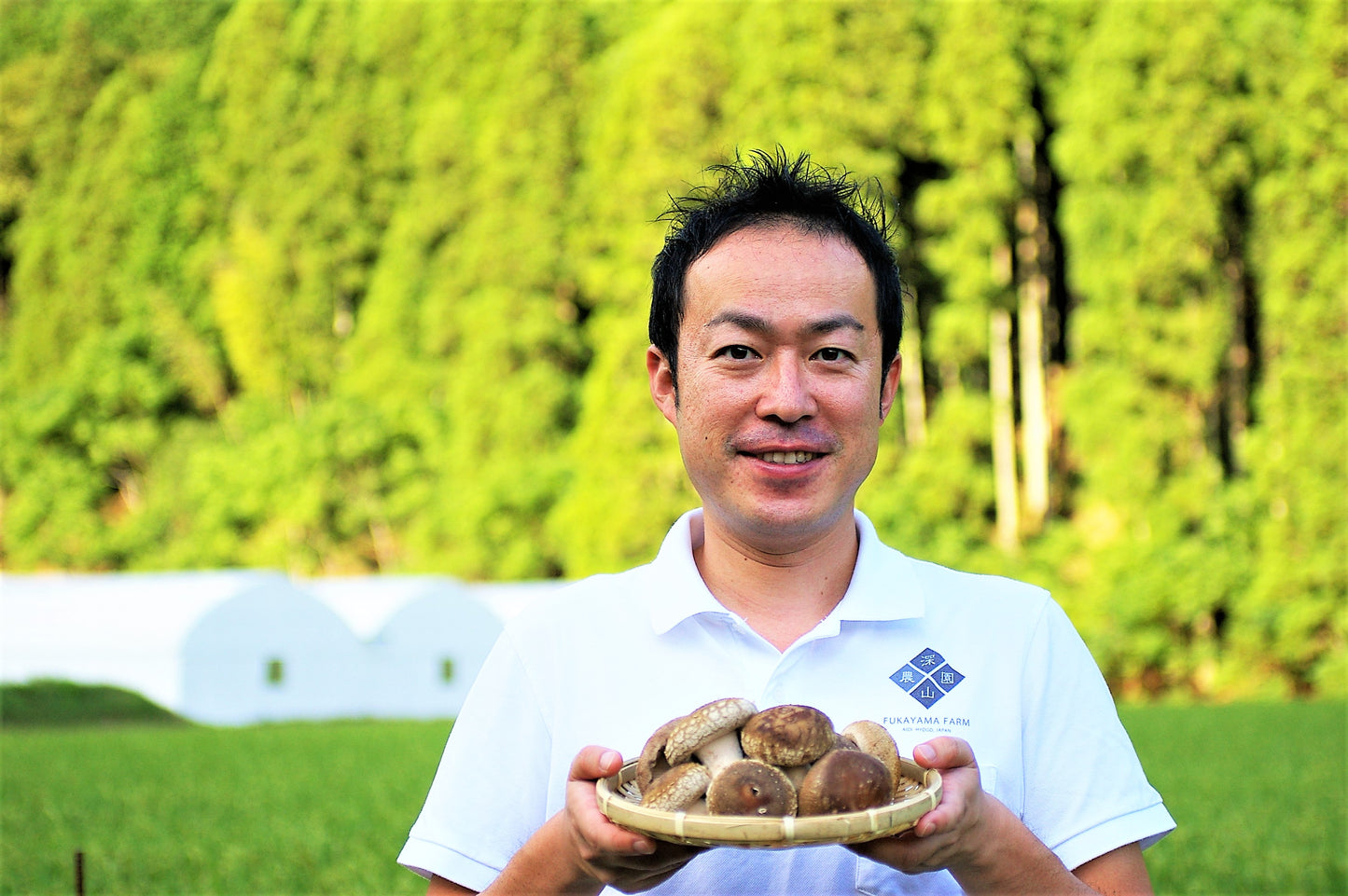 【有機】瀬戸内しいたけ ~肉厚で、大きく、ジューシー~ 600g【送料込】