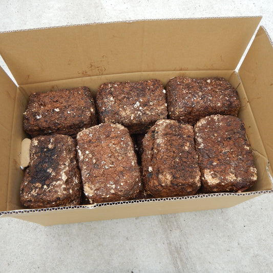 【お徳用】しいたけの廃菌床 (1ケース/14個)